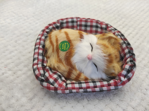"Кот в мягкой корзине" во Называевске фото 7