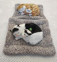 "Кошка с котенком" во Называевске